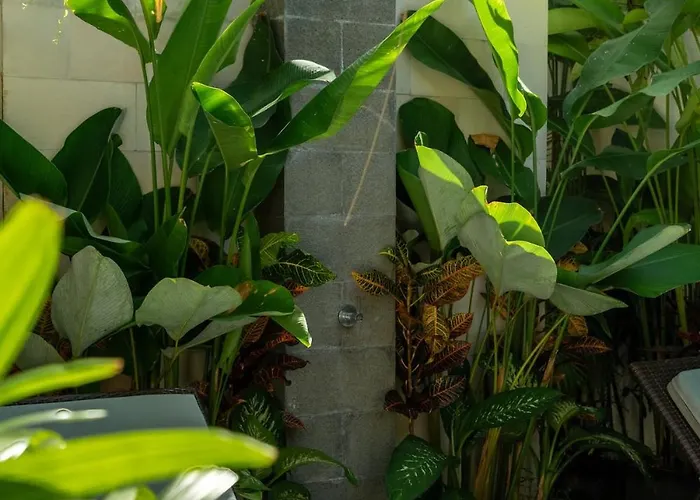 Bali Blue Ii - Two-bedroom Tropical Garden Pool Walking Distance From Villa Seminyak (Bali)